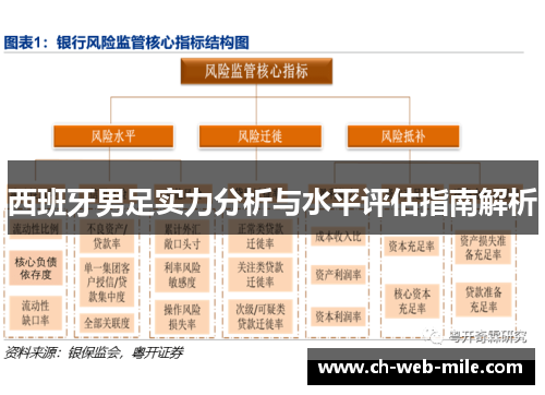 西班牙男足实力分析与水平评估指南解析