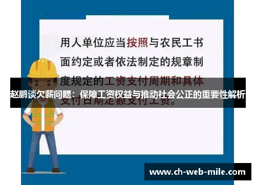 赵鹏谈欠薪问题：保障工资权益与推动社会公正的重要性解析