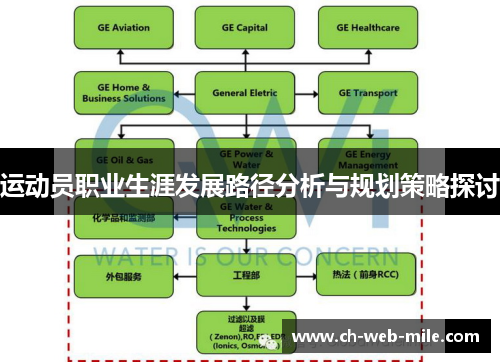 运动员职业生涯发展路径分析与规划策略探讨