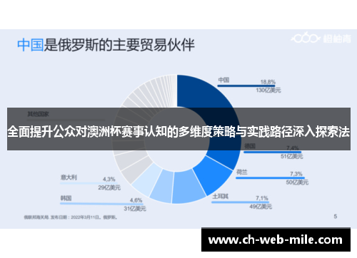 全面提升公众对澳洲杯赛事认知的多维度策略与实践路径深入探索法