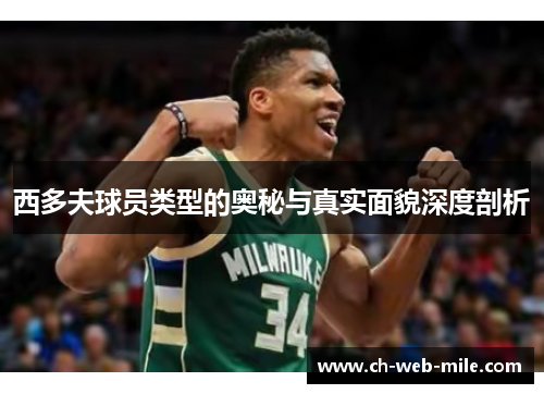 西多夫球员类型的奥秘与真实面貌深度剖析