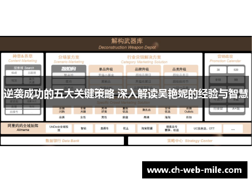 逆袭成功的五大关键策略 深入解读吴艳妮的经验与智慧